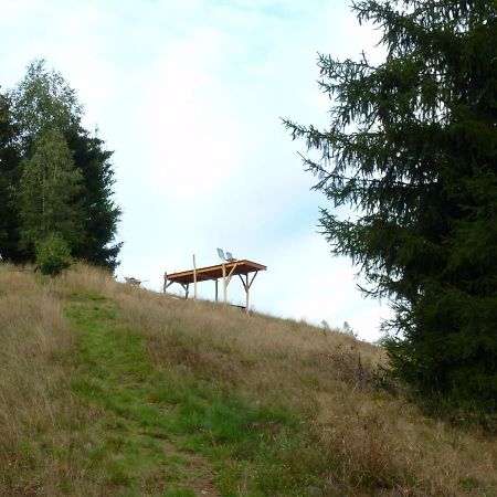 Ein Platz Fuer Ruhe Und Naturgenuss Sebnitz Exterior foto