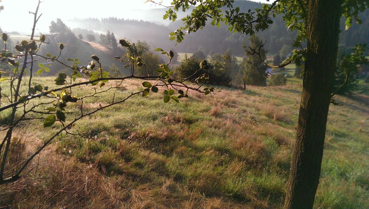 Ein Platz Fuer Ruhe Und Naturgenuss Sebnitz Exterior foto