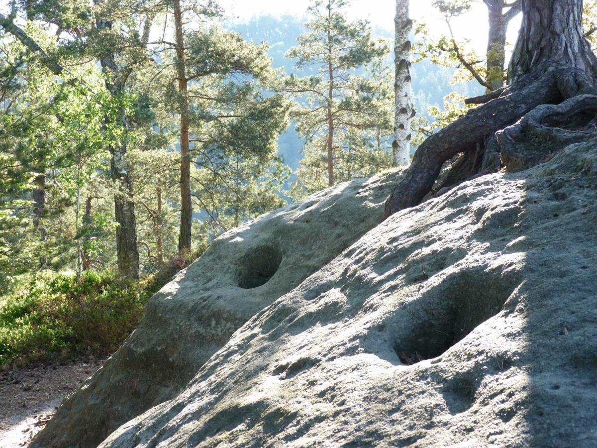 Ein Platz Fuer Ruhe Und Naturgenuss Sebnitz Exterior foto