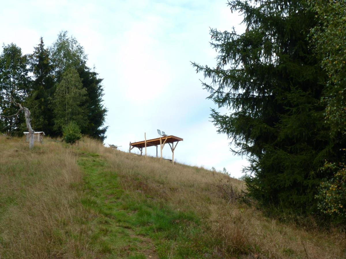 Ein Platz Fuer Ruhe Und Naturgenuss Sebnitz Exterior foto