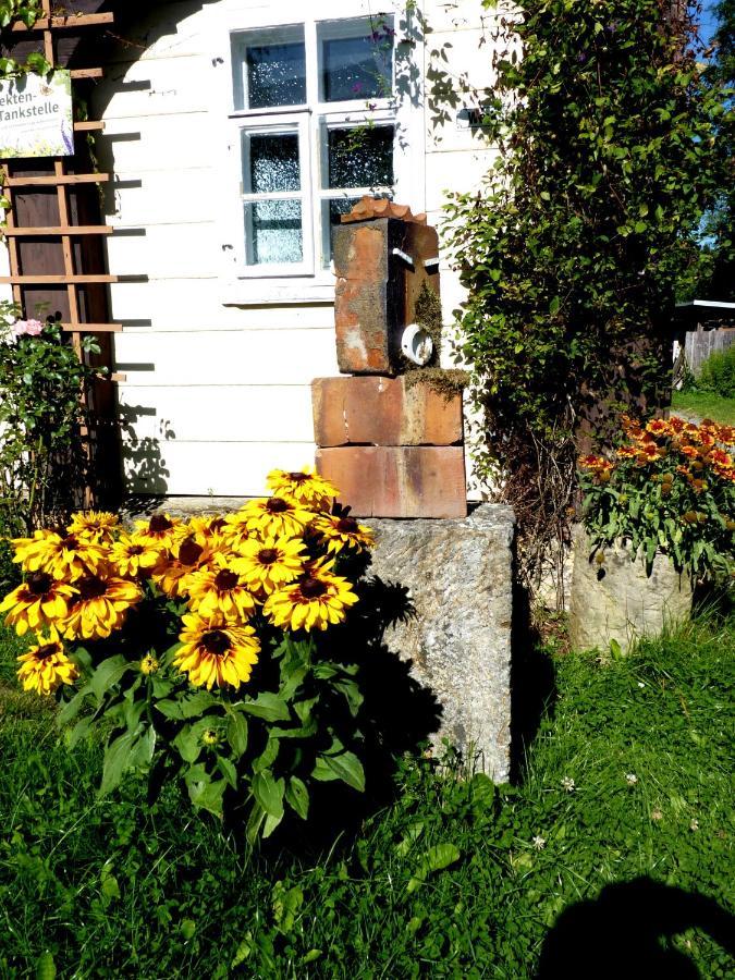 Ein Platz Fuer Ruhe Und Naturgenuss Sebnitz Exterior foto