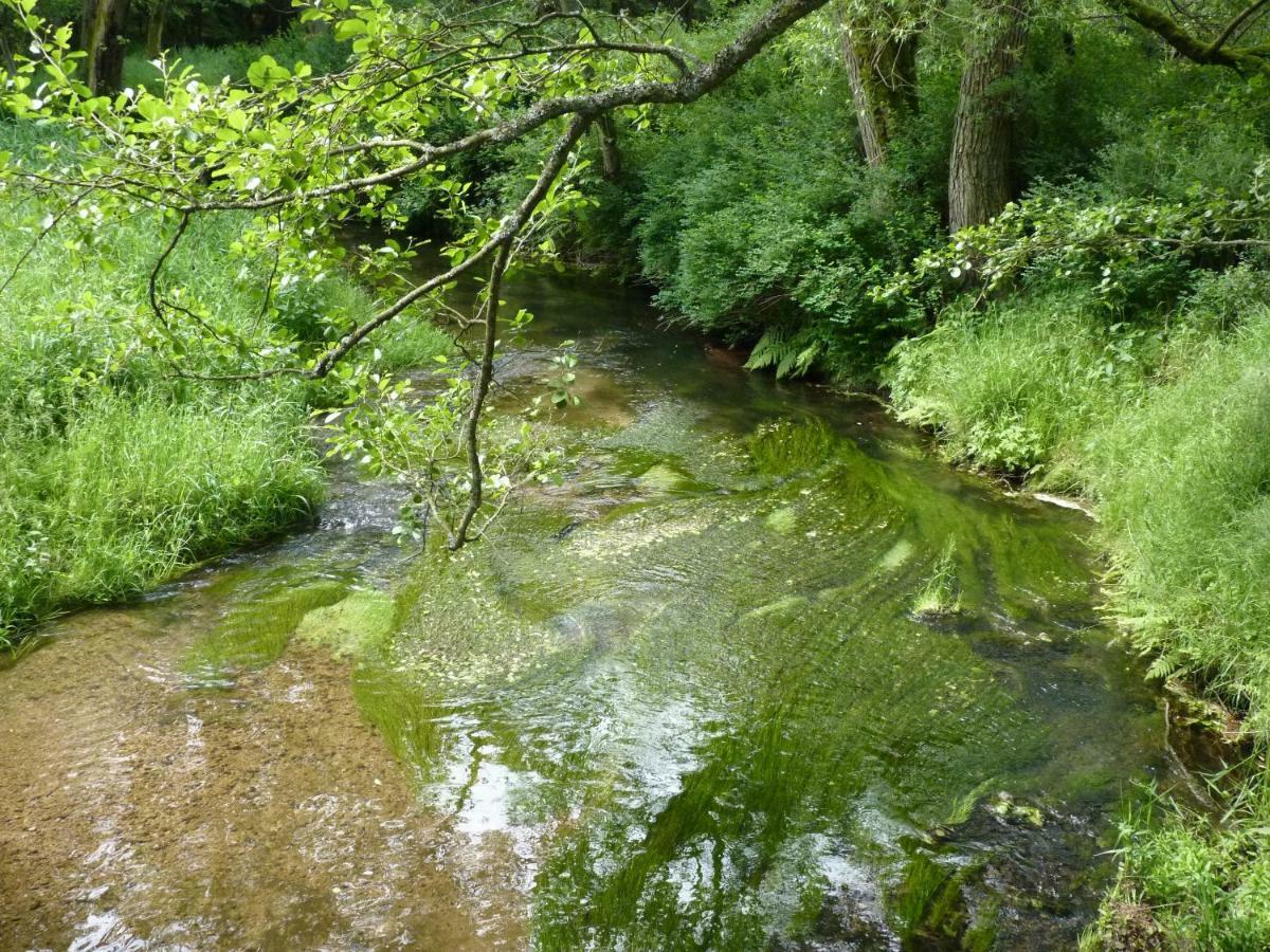 Ein Platz Fuer Ruhe Und Naturgenuss Sebnitz Exterior foto
